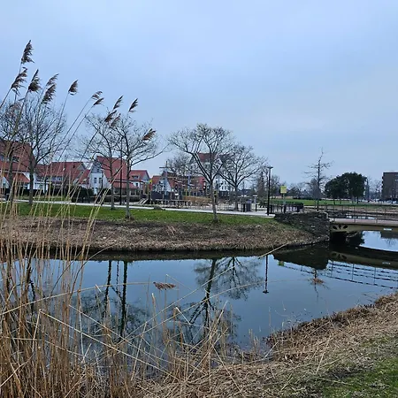 Den Haus Accommodatie bij particulieren Den Haag